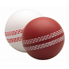 Printed Cricket Ball Stress Balls
